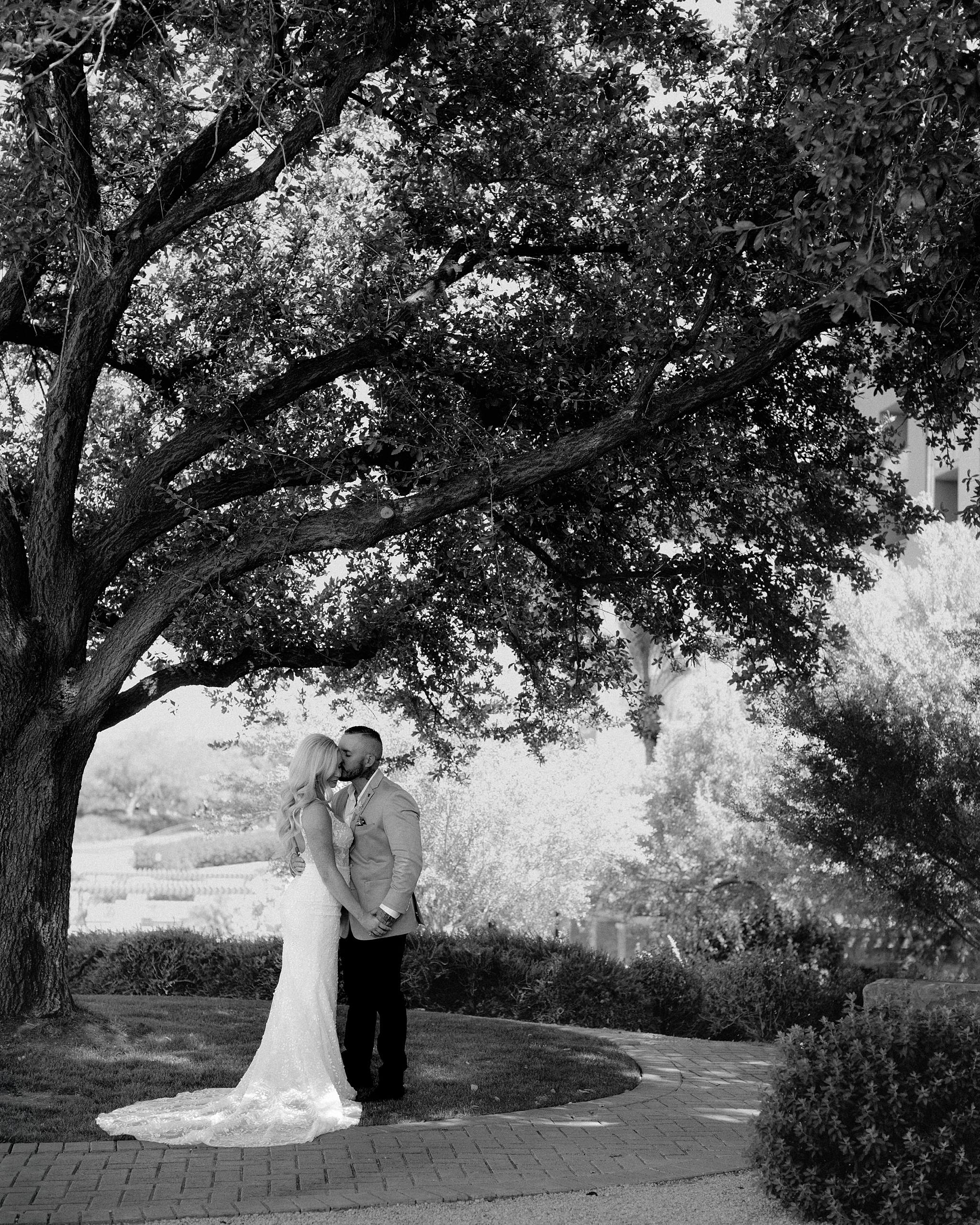 Westin Kierland Resort Wedding, The Hoskins Photography, Bride and Groom, Bride and Groom under a tree