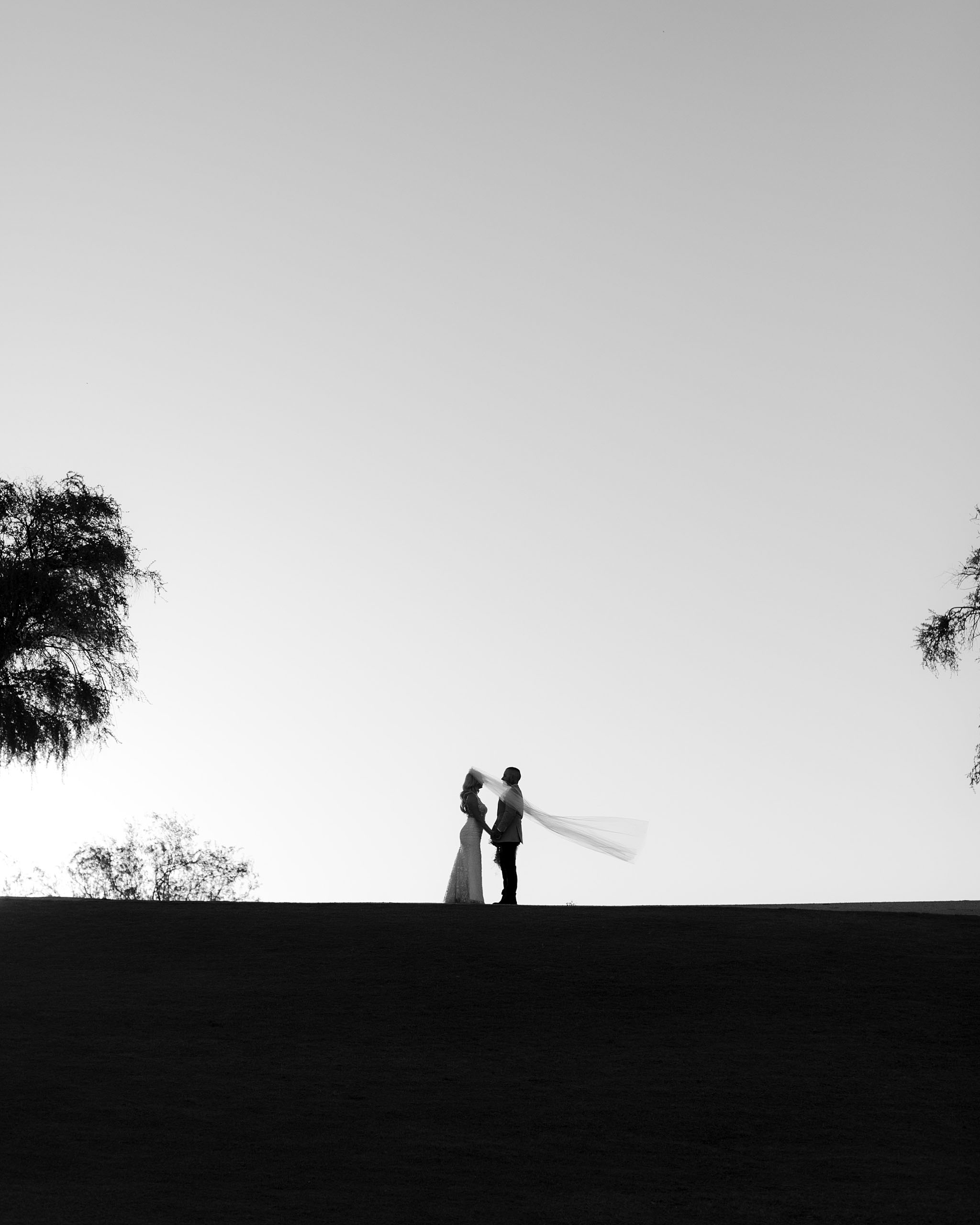 Westin Kierland Resort Wedding, The Hoskins Photography, Phoenix Bride, Bride and Groom, B&W photo